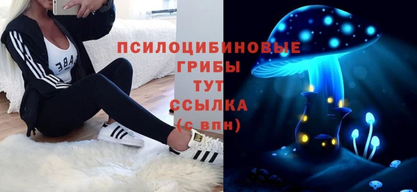 ГАЛЛЮЦИНОГЕННЫЕ ГРИБЫ Козловка