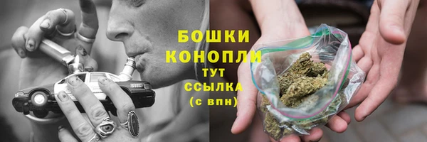 ГАЛЛЮЦИНОГЕННЫЕ ГРИБЫ Козловка