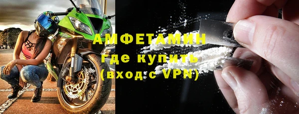 ГАЛЛЮЦИНОГЕННЫЕ ГРИБЫ Козловка