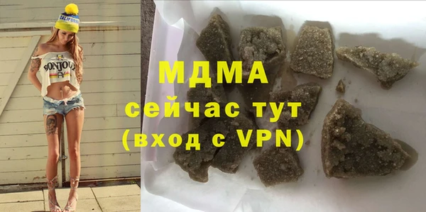 ГАЛЛЮЦИНОГЕННЫЕ ГРИБЫ Козловка