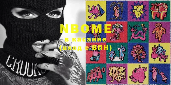 ГАЛЛЮЦИНОГЕННЫЕ ГРИБЫ Козловка